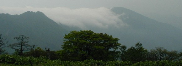 塔の岳山頂手前から見る丹沢山塊